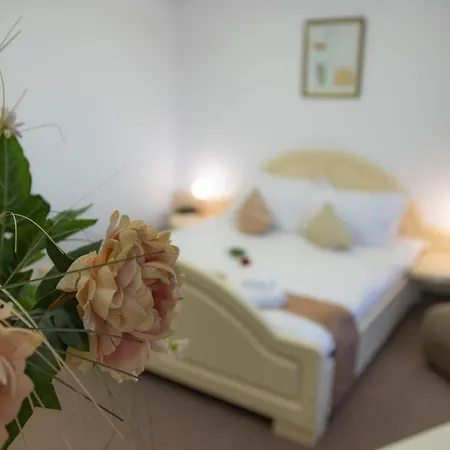 Randy Hotel Constanta
