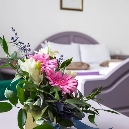 Готель Randy 4*